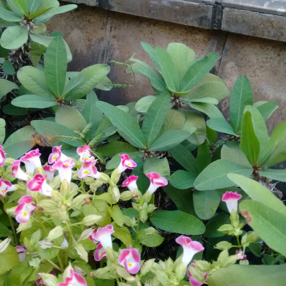 Meet your Posher, Alex - Picture 3 of 8